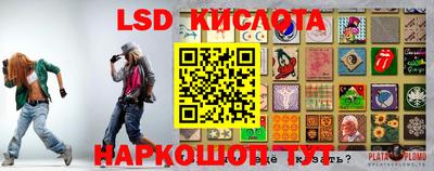 эйфоретик Донской