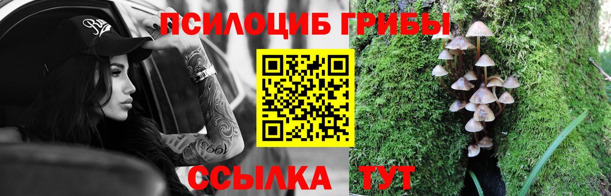 дарнет шоп  Вход с VPN  Галлюциногенные грибы Magic Shrooms  Дзержинск  Галлюциногенные грибы Cubensis 