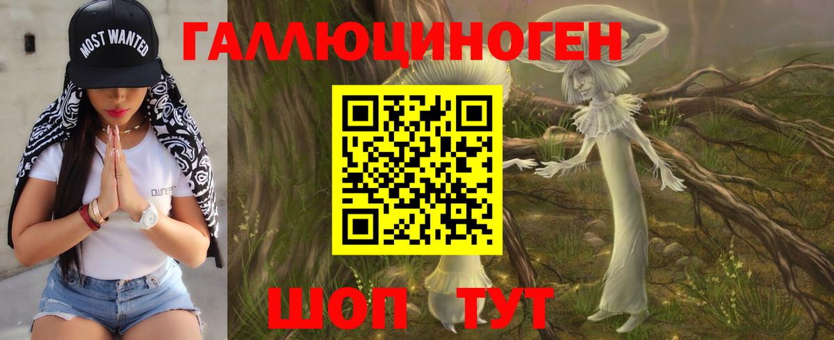 Псилоцибиновые грибы мицелий Дзержинск
